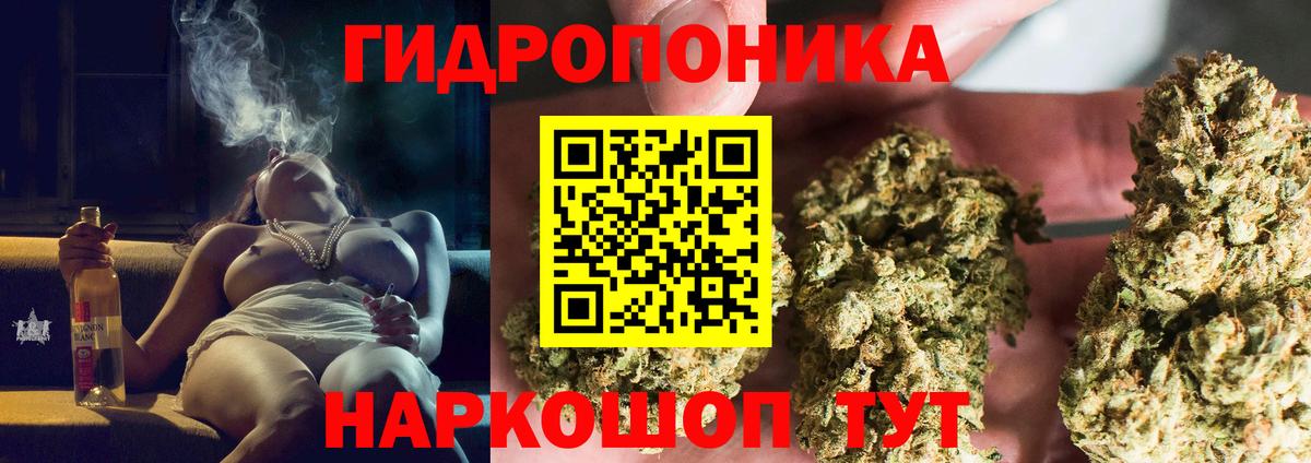 Конопля VHQ  Вход с VPN  Конопля Bruce Banner  Советск  Бошки марихуана THC 21% 